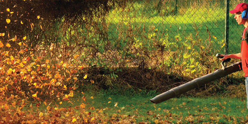 Spring & Fall Cleanup